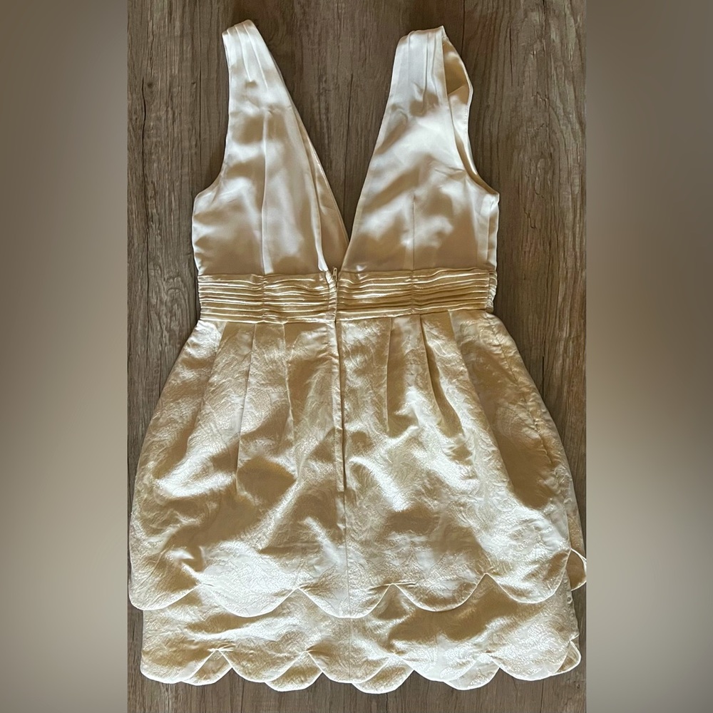 H&M Conscious Limited Party Collection Tulip Scallop Dress - Picture 5 of 5